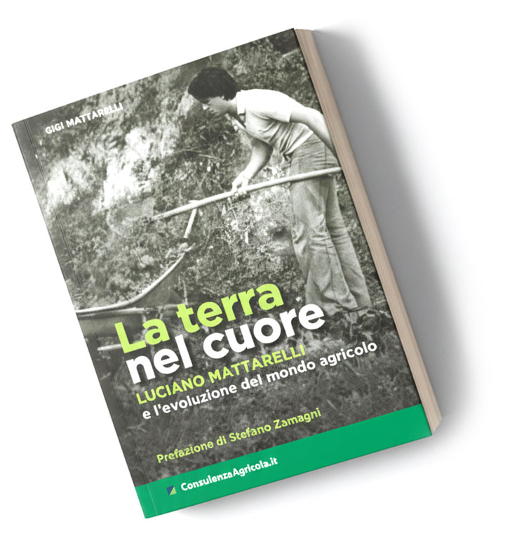 La terra nel cuore