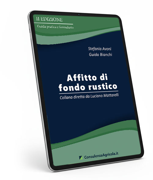 Affitto di fondo rustico - II edizione