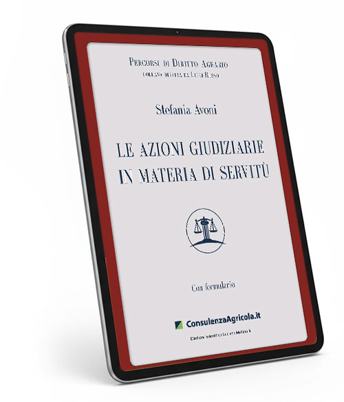 Le azioni giudiziarie in materia di servitù