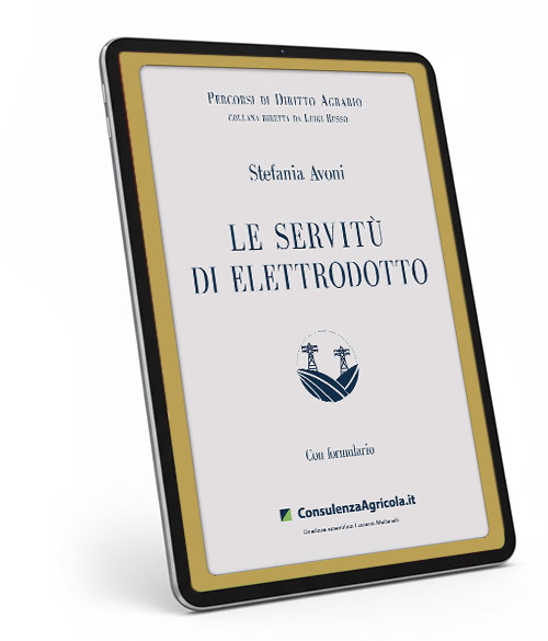 Le servitù di elettrodotto