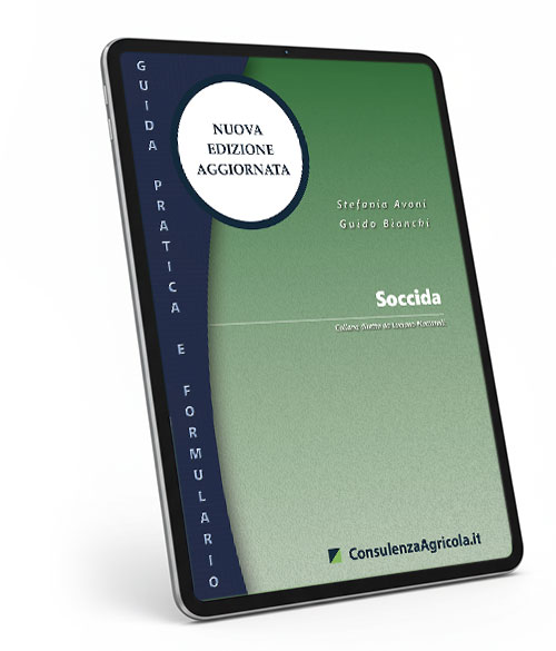 Soccida