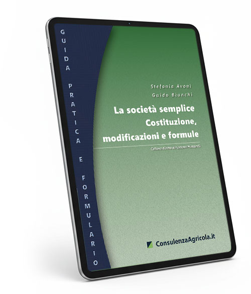 La società semplice. Costituzione, modificazioni e formule