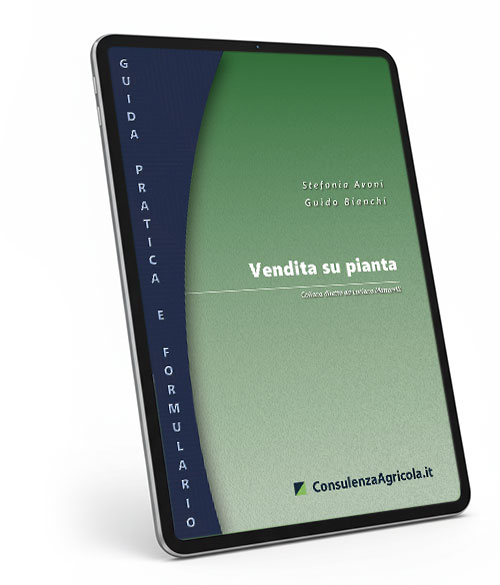 Vendita su pianta